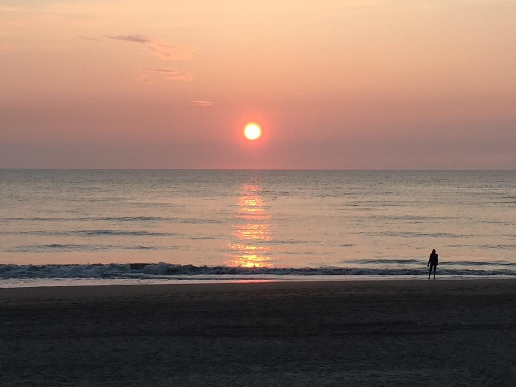 Elsk Cottage Zandvoort Ngoại thất bức ảnh